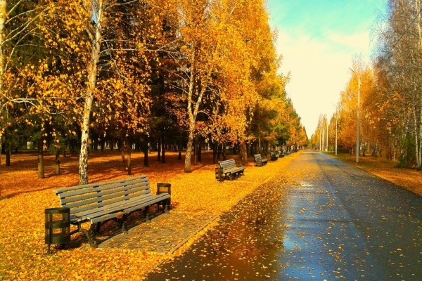 Parque solitario en otoño