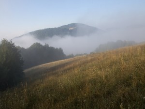 Postal: Niebla sobre el campo