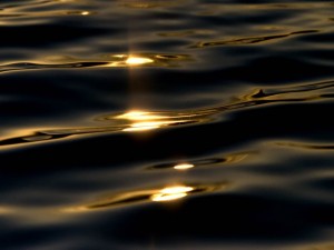 El sol brillando en la superficie del agua