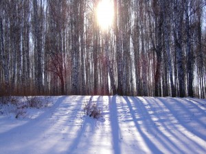 La luz del sol sobre la nieve