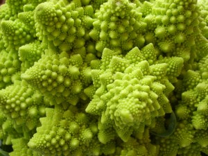 Romanescu, fractal vegetal