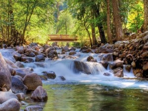 Postal: Puente de madera para cruzar el río