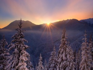 Postal: El sol ilumina el paisaje nevado