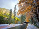 Nieve y hojas otoñales a ambos lados de una carretera