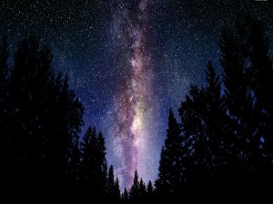 La Vía Láctea vista en la Naturaleza