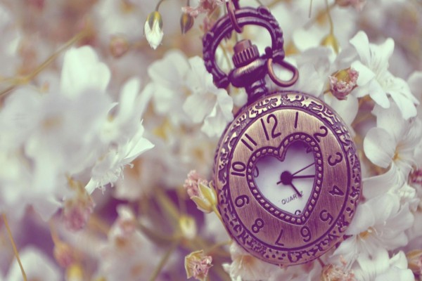 Bonito reloj sobre las flores blancas