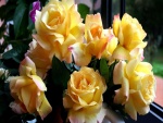 Esbeltas rosas amarillas