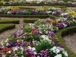 Jardín con una gran variedad de flores