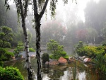 Niebla en un bello jardín oriental