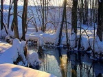 Invierno en el río