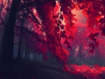 Bosque de árboles rojos