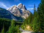 Carretera entre montañas y pinos (Canadá)