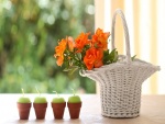Velas y cesta con flores