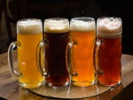Una jarras con distintos tipos de cerveza