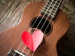 Amor por la guitarra
