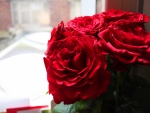 Un hermoso ramo de rosas rojas