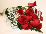 Un bello ramo de rosas rojas y paniculata