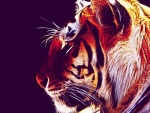 Imagen de un hermoso tigre