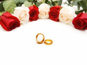 Postal: Rosas rojas y blancas junto a unos anillos