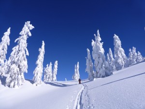 Caminando por un paisaje cubierto de nieve