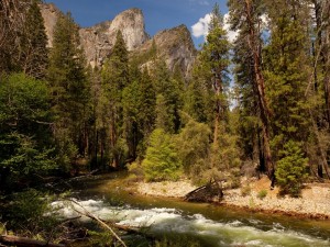 Postal: Río salvaje entre árboles y montañas