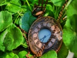 Hermoso reloj sobre unas hojas verdes