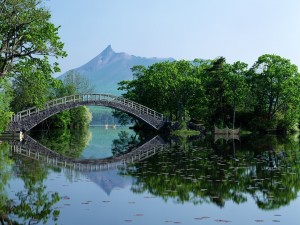 Un puente reflejado en el agua