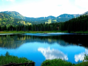 Bonito lago rodeado de pinos