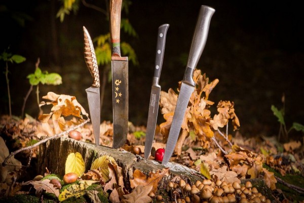 Diferentes modelos de cuchillos en un bosque
