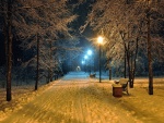Nieve en un parque iluminado