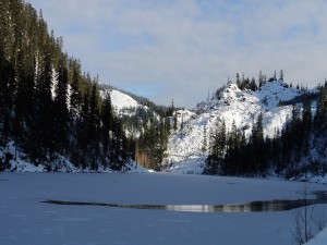 Postal: Lago congelado rodeado por un bosque de pinos