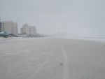 Niebla en una playa durante el invierno