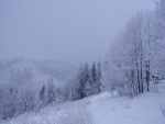 Niebla y nieve en el campo