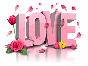 Postal: Pétalos de flores sobre la palabra Love