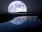 Espectacular  luna llena