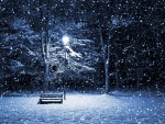 Noche de nieve en un parque