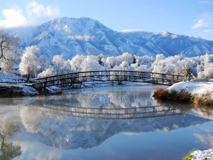 Postal: Hermoso paisaje cubierto de nieve