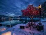 Amanecer invernal en Noruega