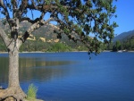 Árboles junto a un tranquilo lago (California)