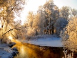 Sol calentando el agua de un río rodeado de nieve