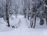 Pequeño puente de madera cubierto de nieve