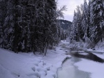 Hielo y nieve sobre un río