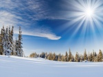 Radiante sol sobre un paisaje nevado