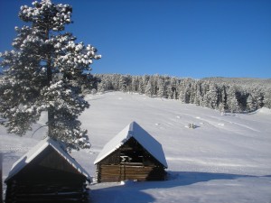 Cabañas en una ladera cubierta de nieve