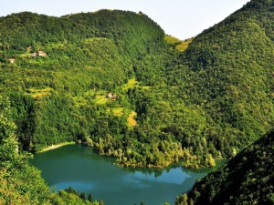 Lago rodeado por montañas y árboles verdes