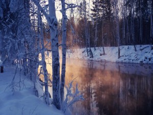 Bruma sobre un río en invierno