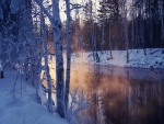 Bruma sobre un río en invierno