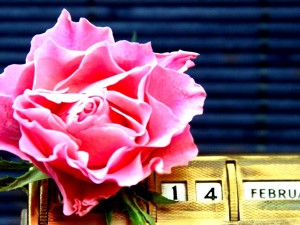 Postal: Una rosa para el 14 de febrero "Día de San Valentín"