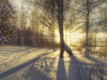 La luz del sol iluminando un paisaje nevado