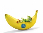 Rana recostada sobre una banana